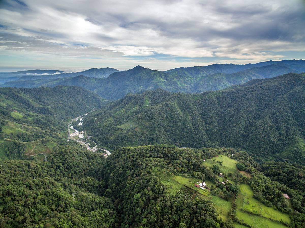 Wildlife Conservation Program in Ecuador