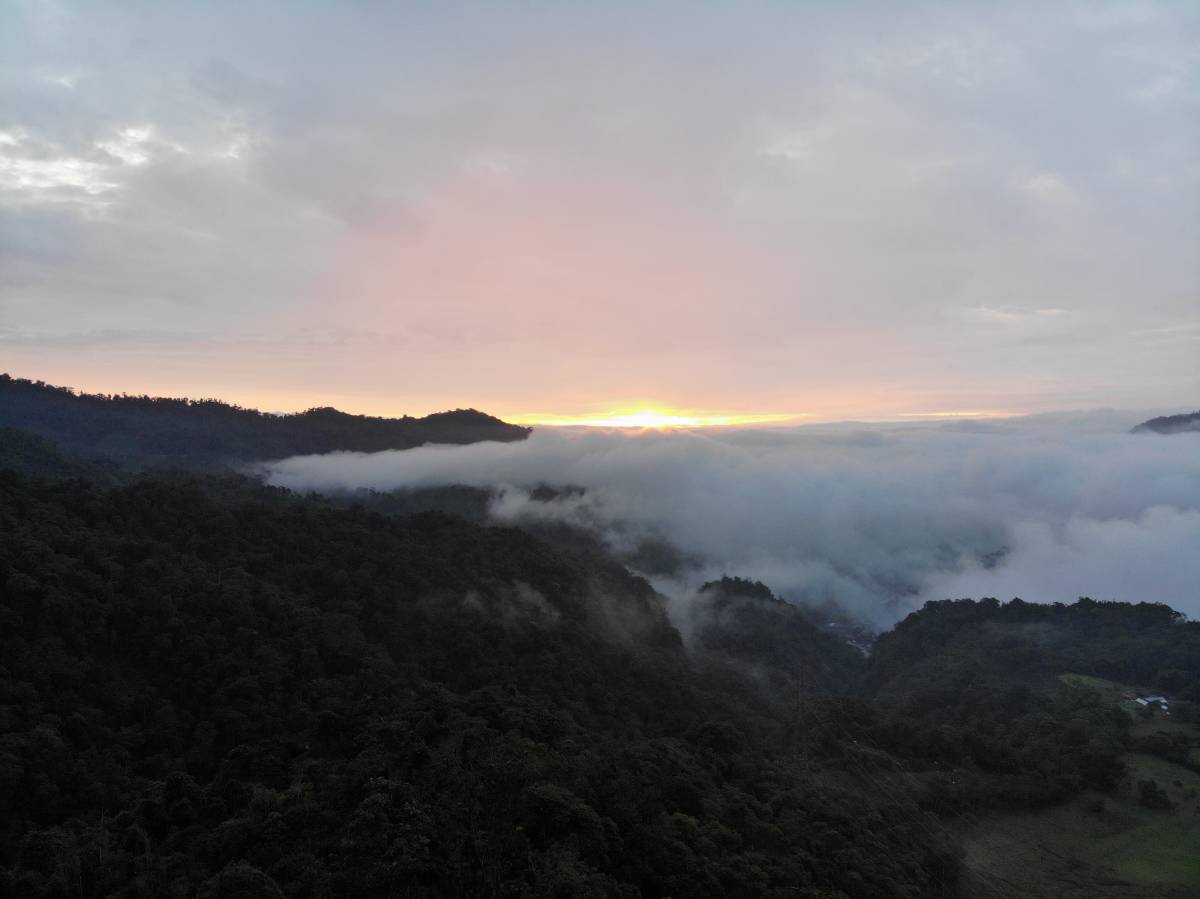 Wildlife Conservation Program in Ecuador