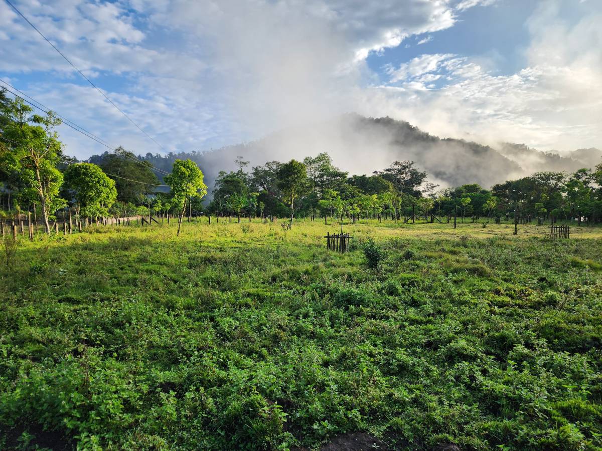 Wildlife Conservation Program in Ecuador
