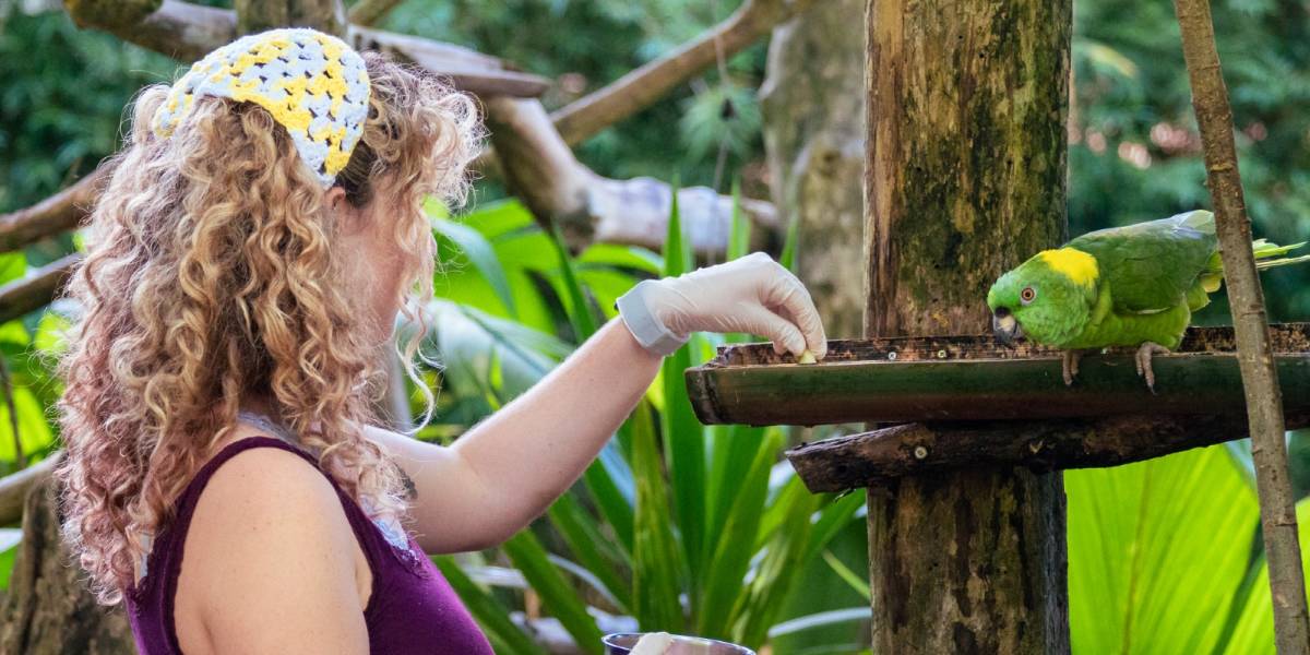 WILDLIFE HUSBANDRY INTERNSHIP IN COSTA RICA