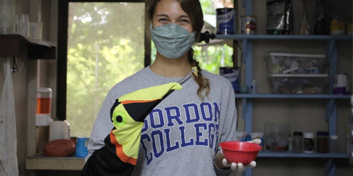 WILDLIFE HUSBANDRY INTERNSHIP IN COSTA RICA