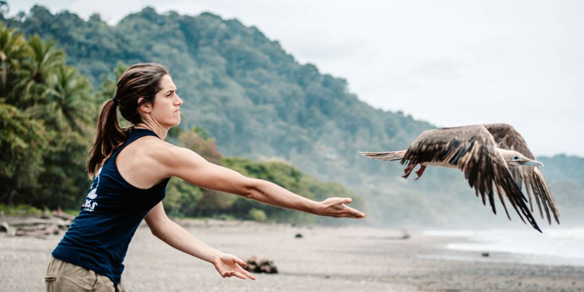 WILDLIFE HUSBANDRY INTERNSHIP IN COSTA RICA