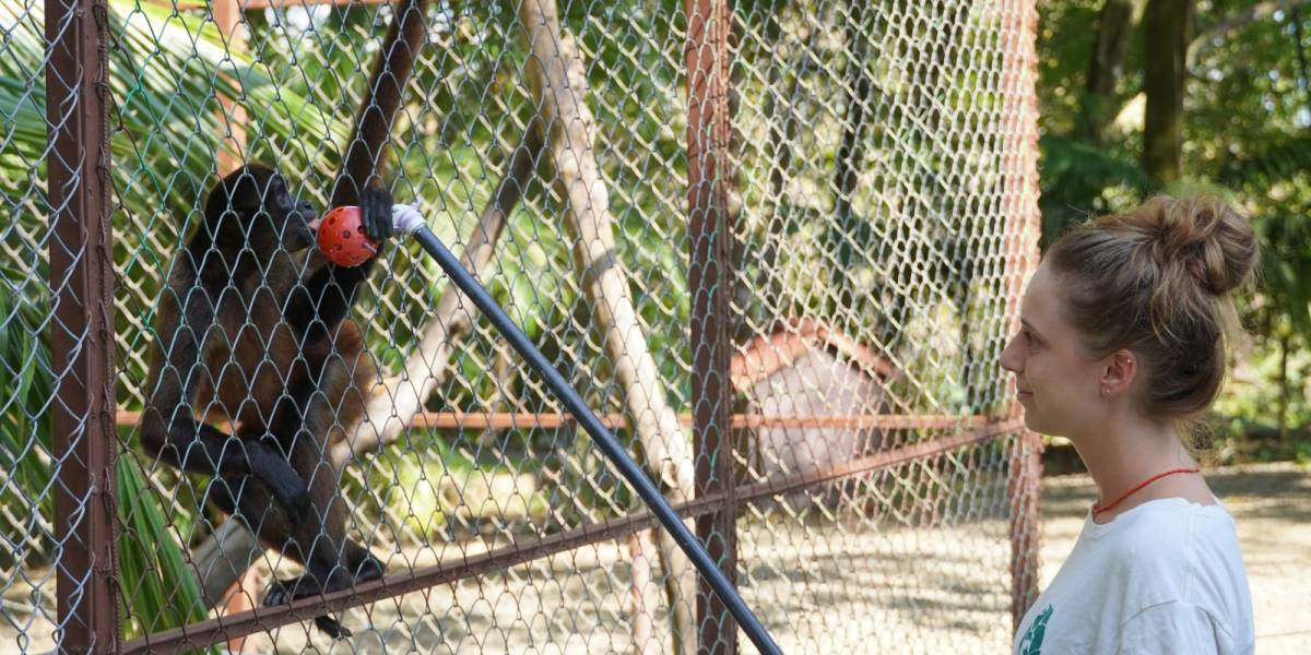 WILDLIFE HUSBANDRY INTERNSHIP IN COSTA RICA