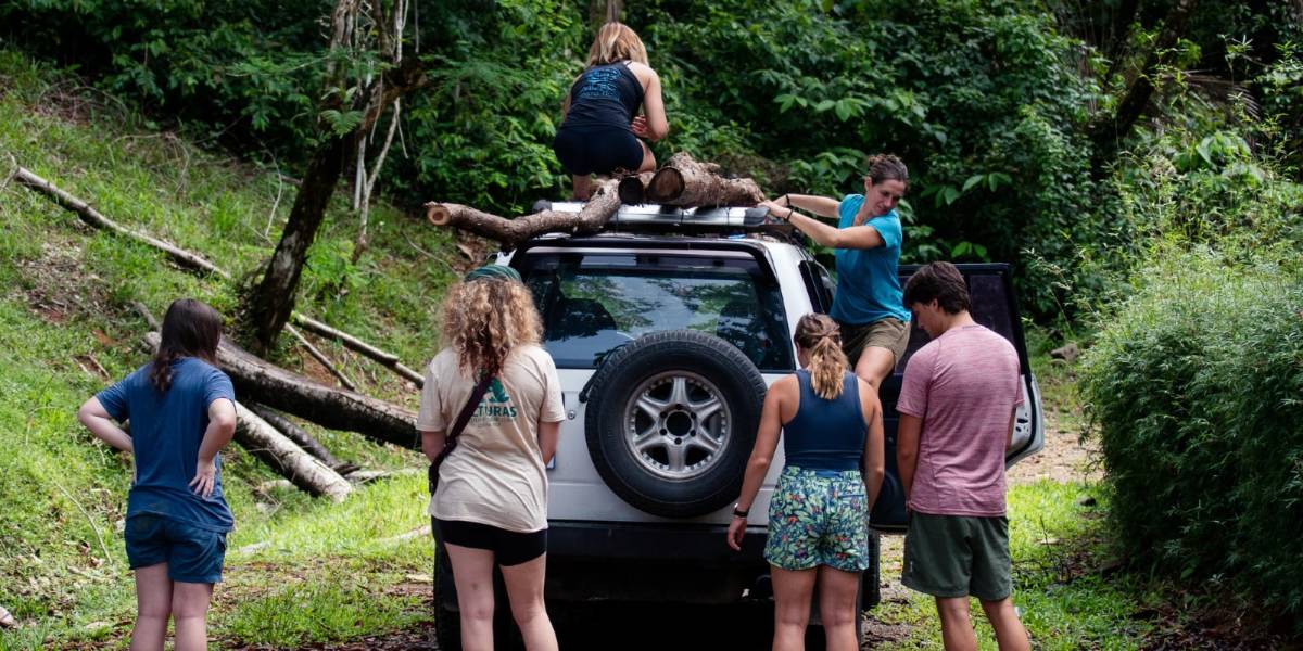 WILDLIFE HUSBANDRY INTERNSHIP IN COSTA RICA