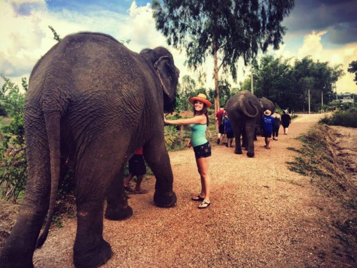 wildlife volunteering