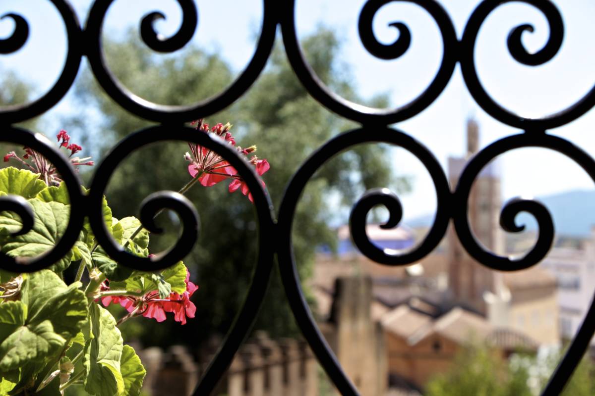 Window