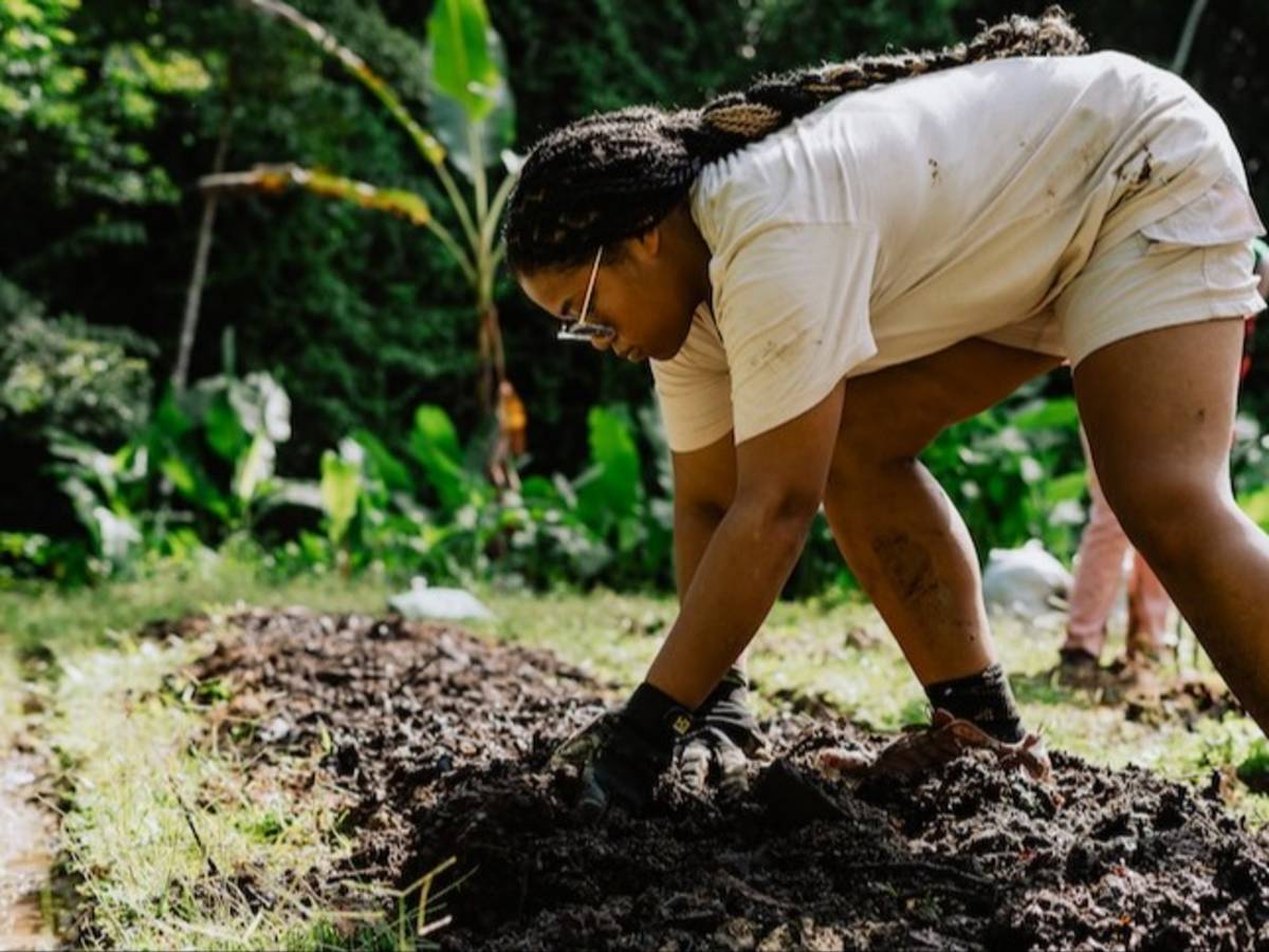 Working on a sustainable farm in Costa Rica