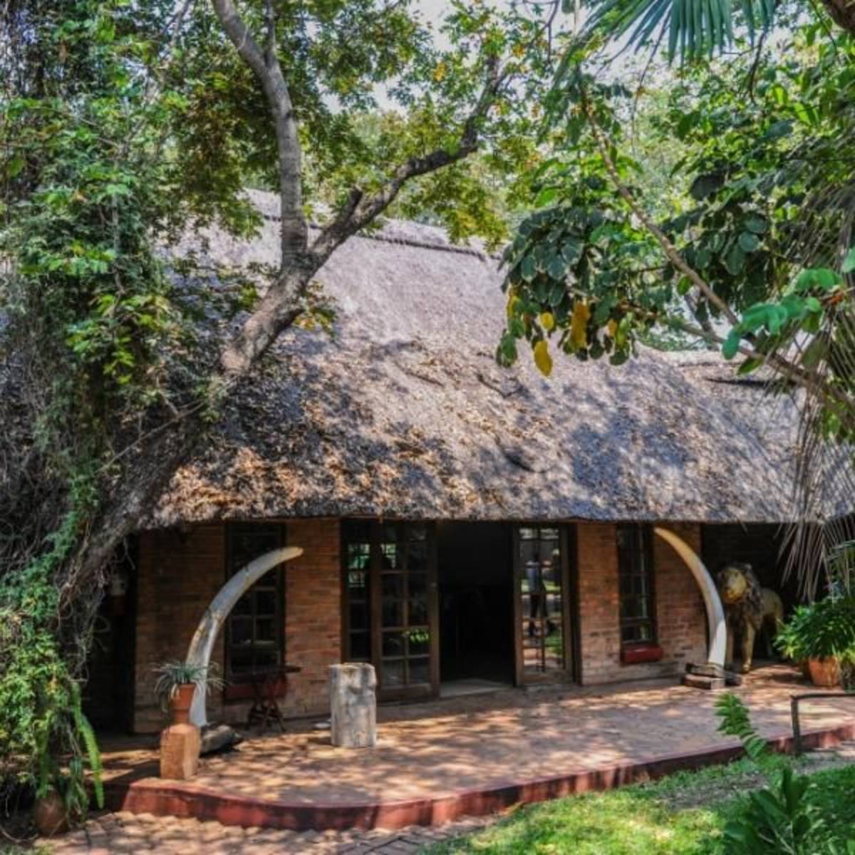 Zimbabwe - Wildlife Photography and Conservation in Victoria Falls