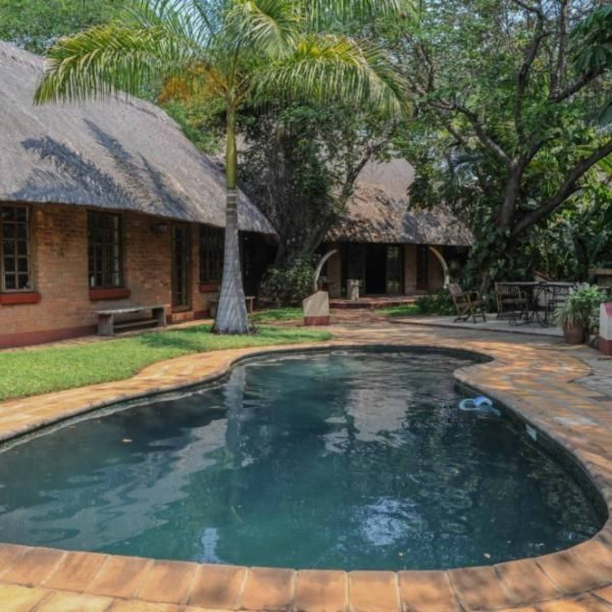 Zimbabwe - Wildlife Photography and Conservation in Victoria Falls