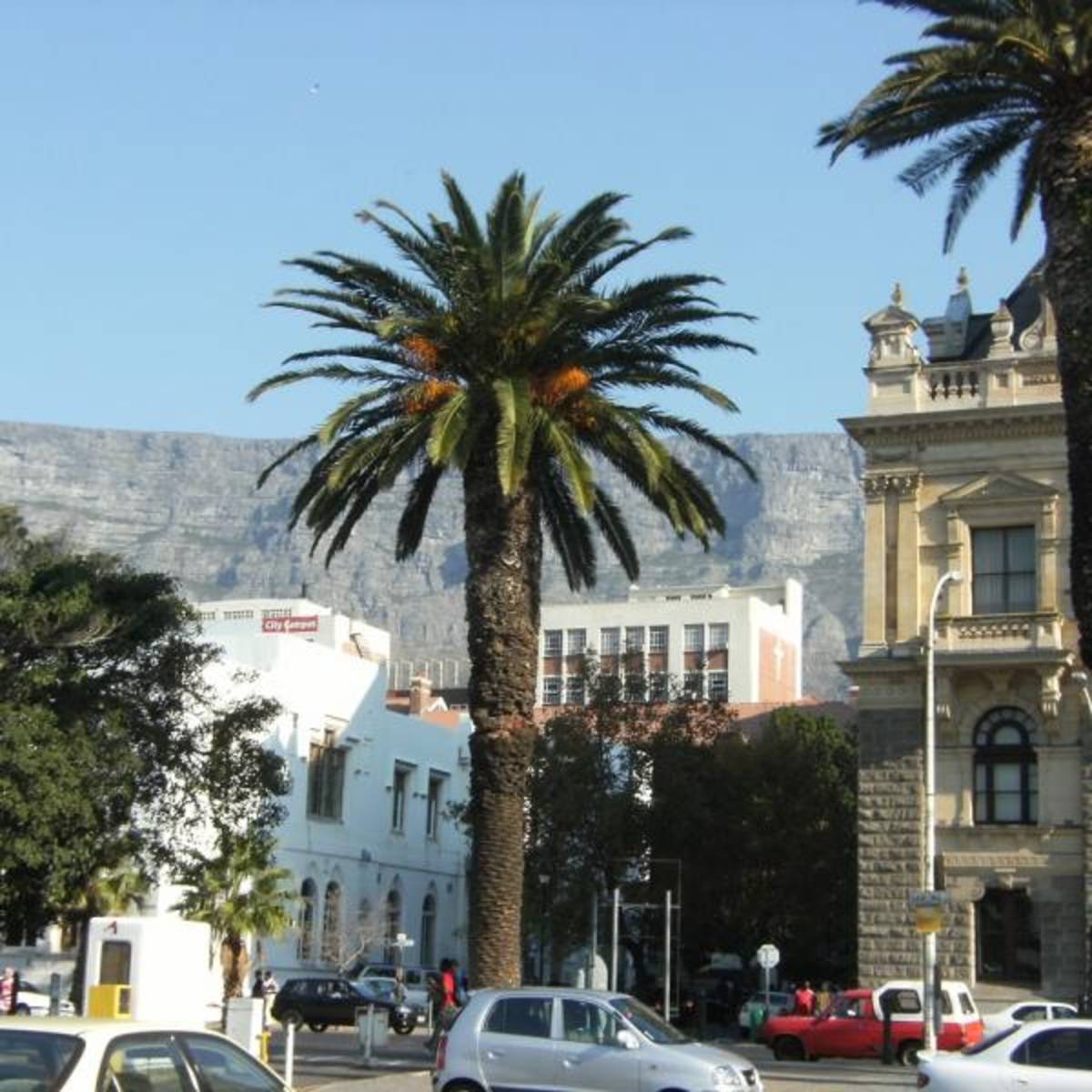 Intern in South Africa with World Endeavors — photo 4