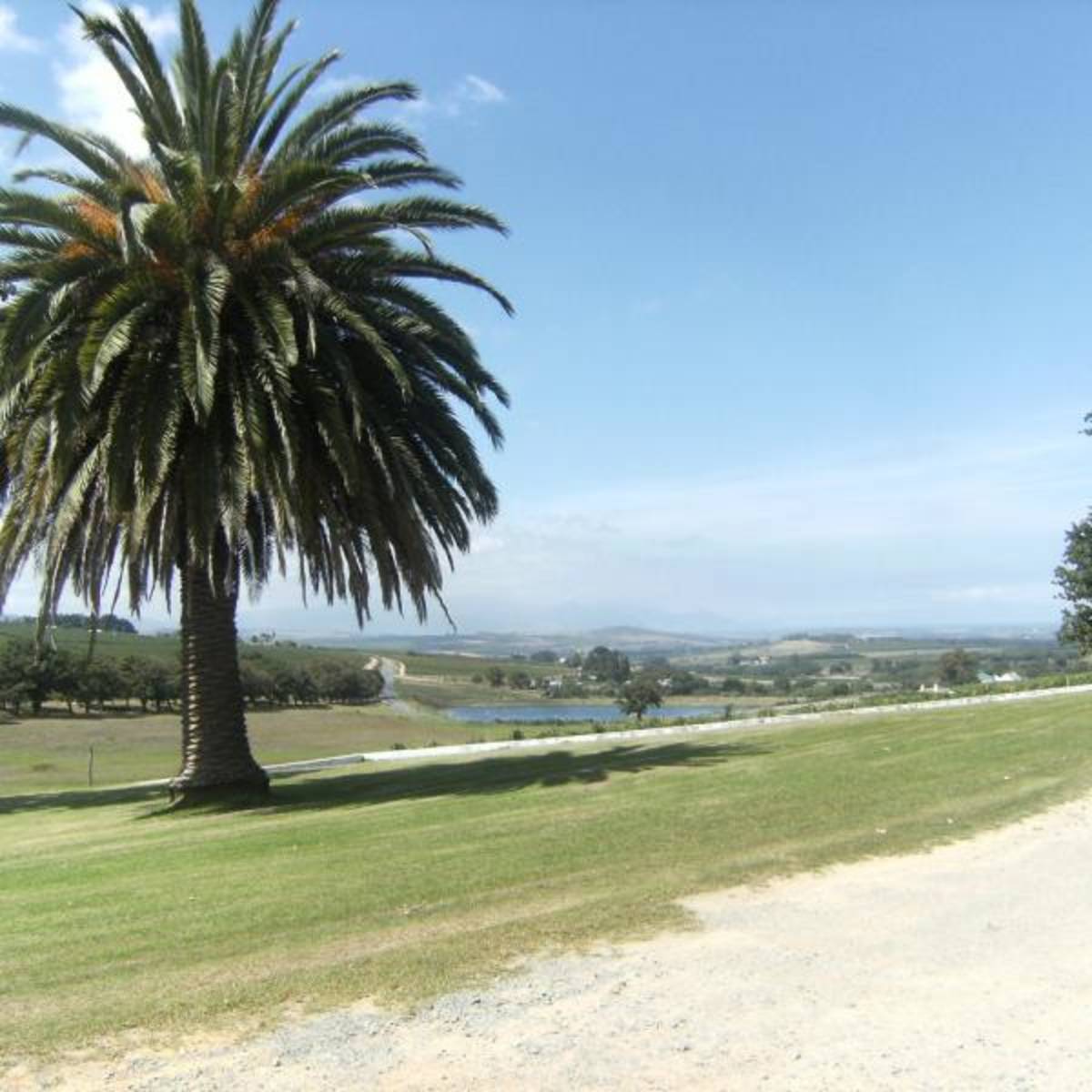 Intern in South Africa with World Endeavors — photo 5