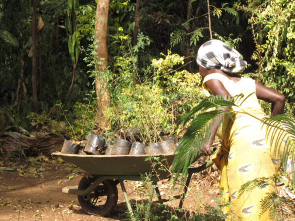 Mother Nature Climate Change Camp in Kilimanjaro, Tanzania — photo 3