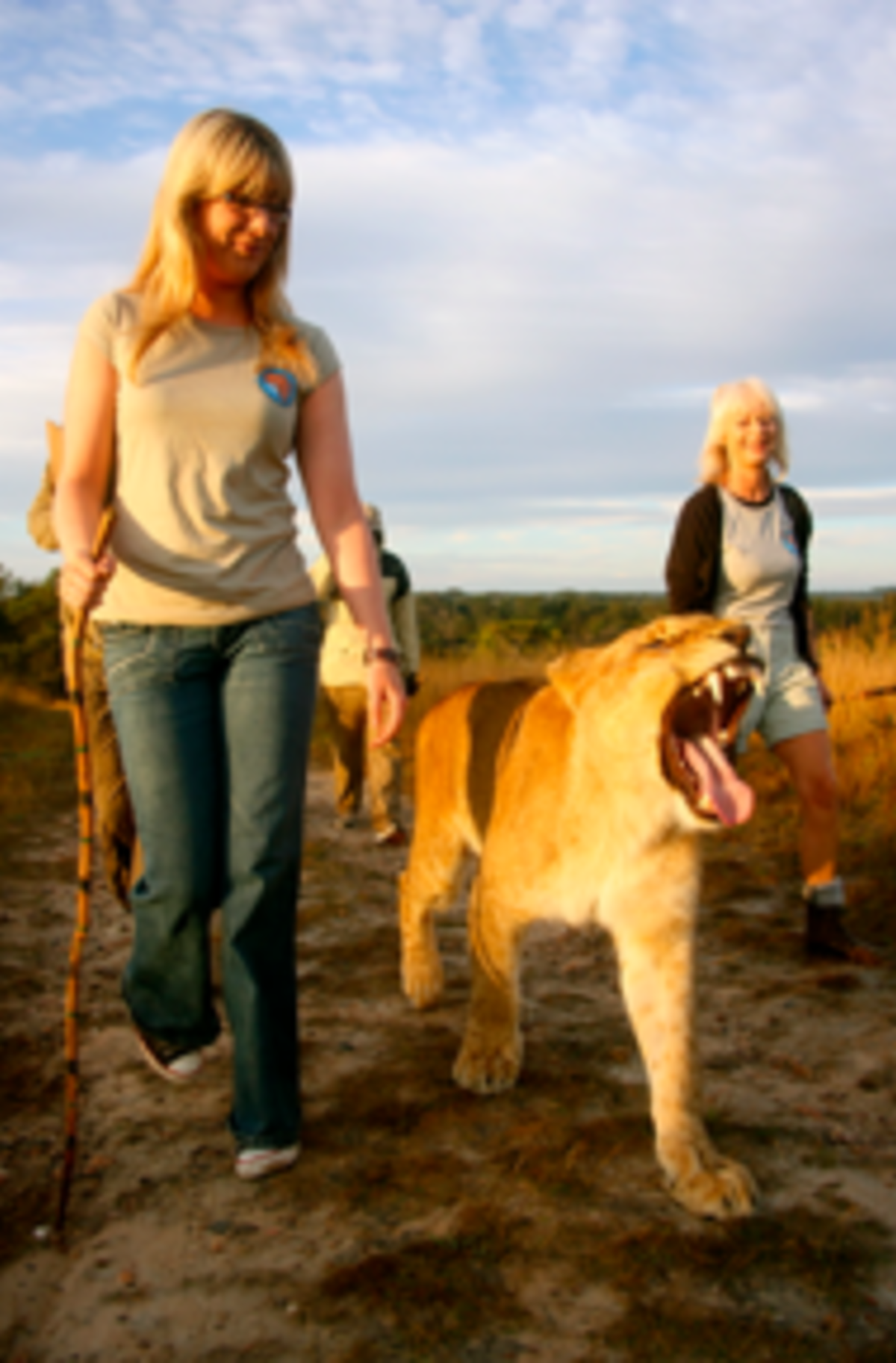 Lion, Elephant and Wildlife Conservation in Zimbabwe — photo 4
