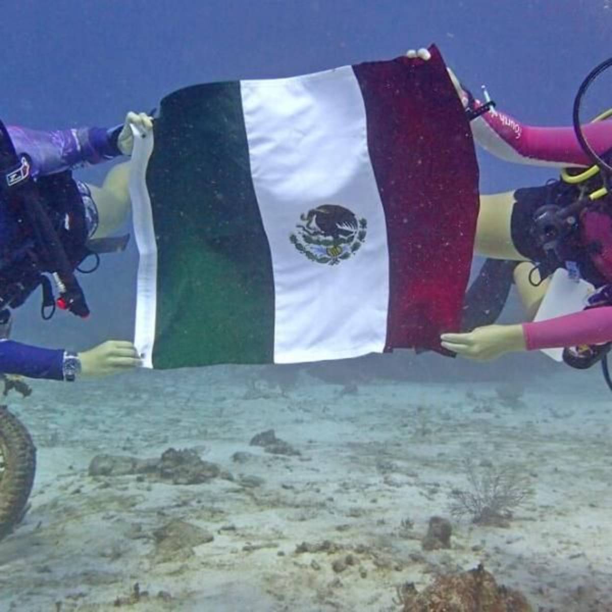 GoEco Mexico - Diving for Marine Conservation