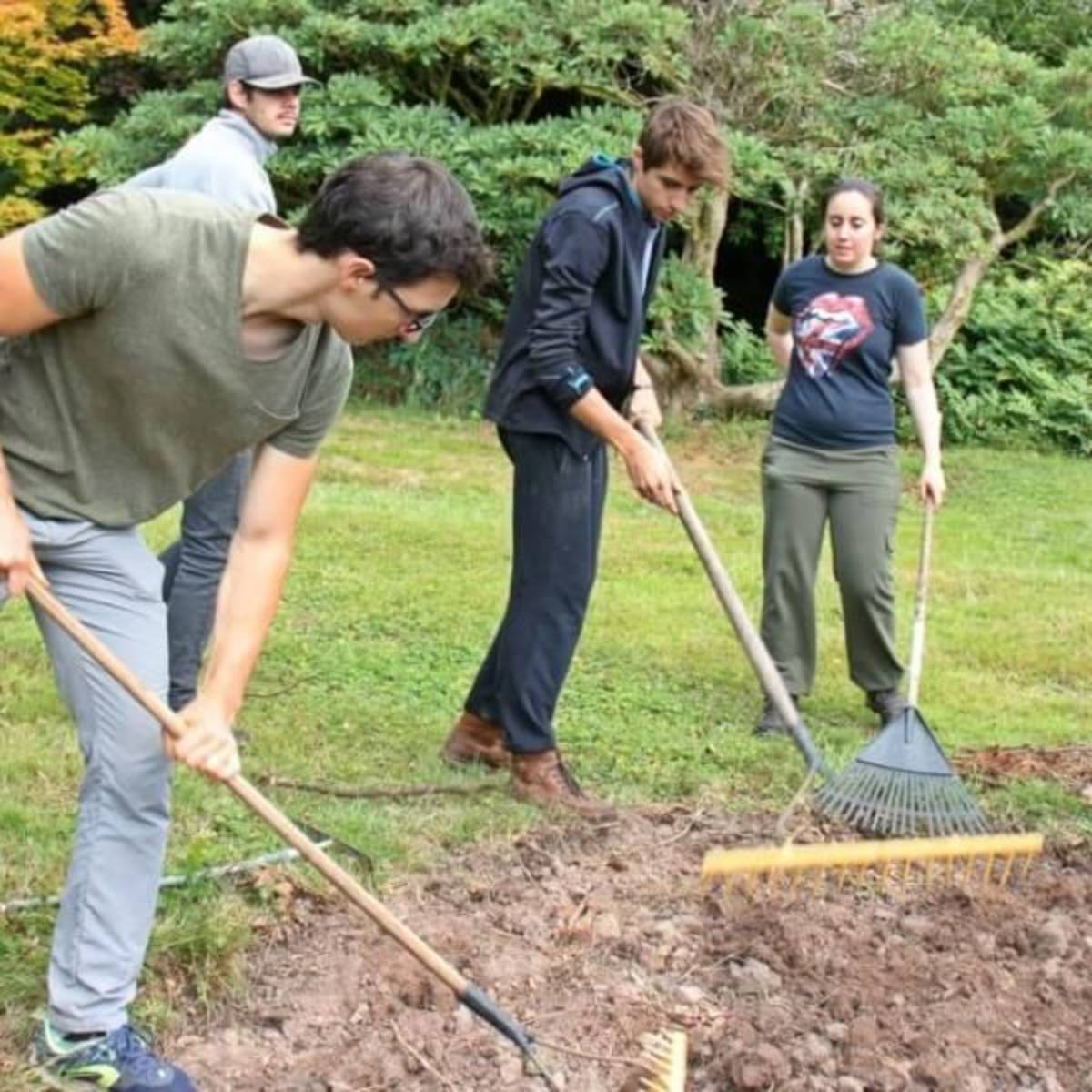 GoEco Ireland - Sustainable Farming and Cafe Experience