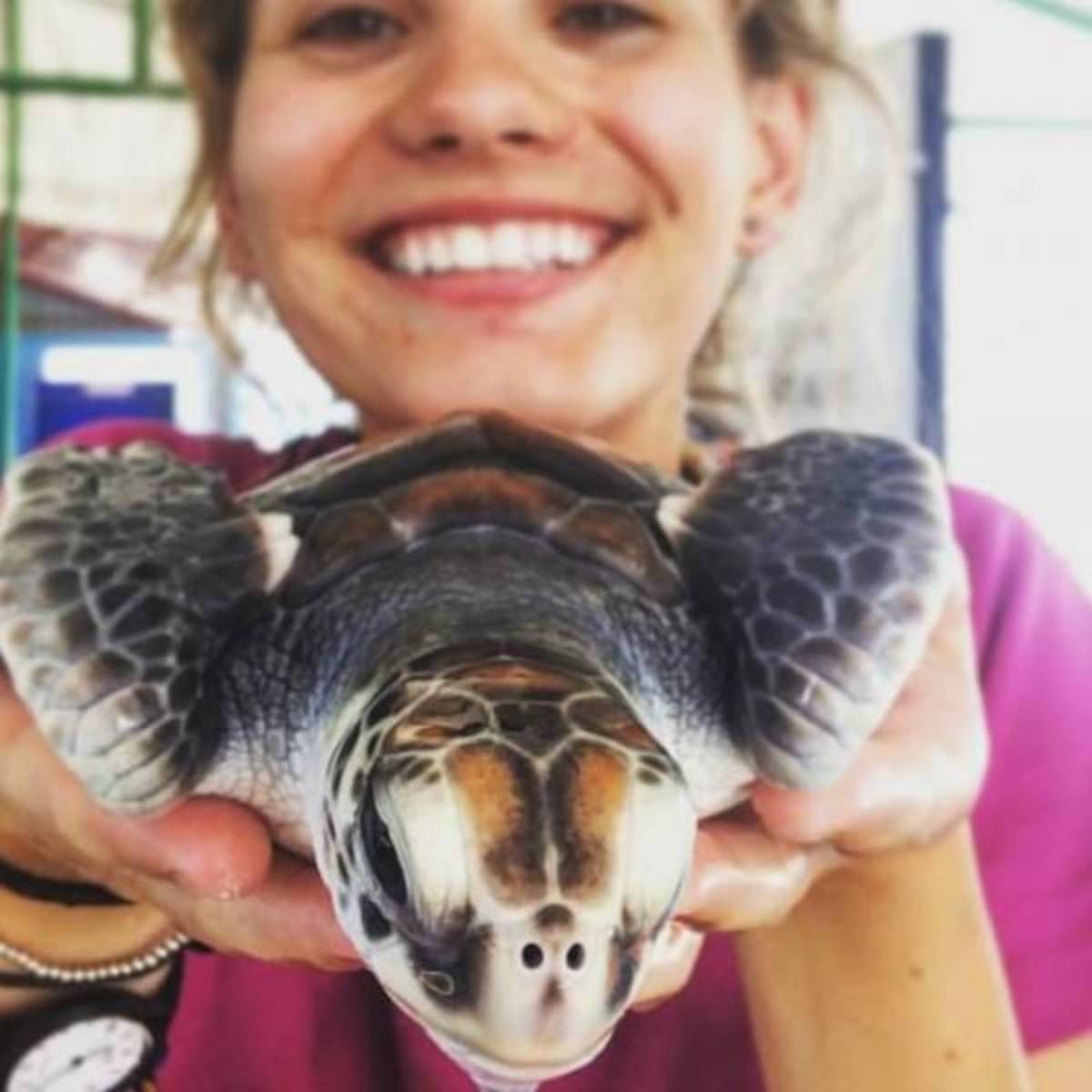 GoEco Maldives - Sea Turtle Conservation