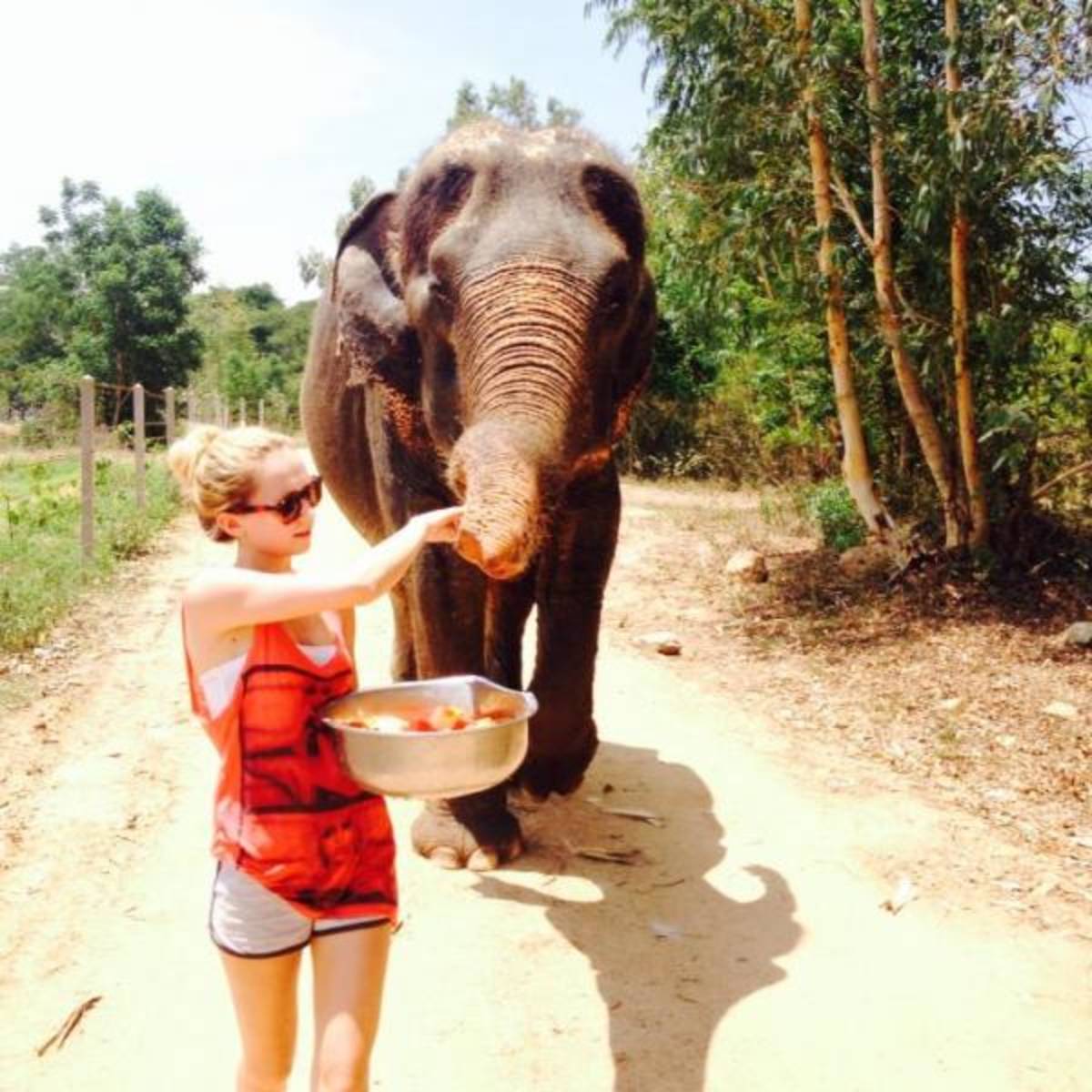 Volunteer with Elephants in Thailand | Oyster Worldwide — photo 1
