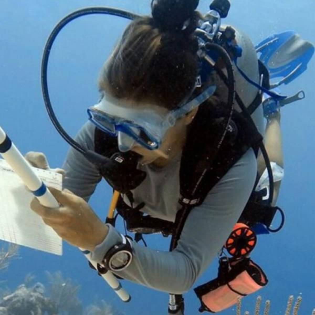 GoEco Mexico - Diving for Marine Conservation