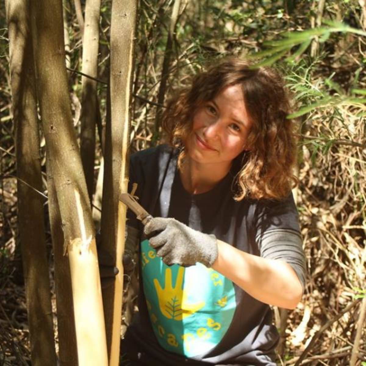 Forest Conservation