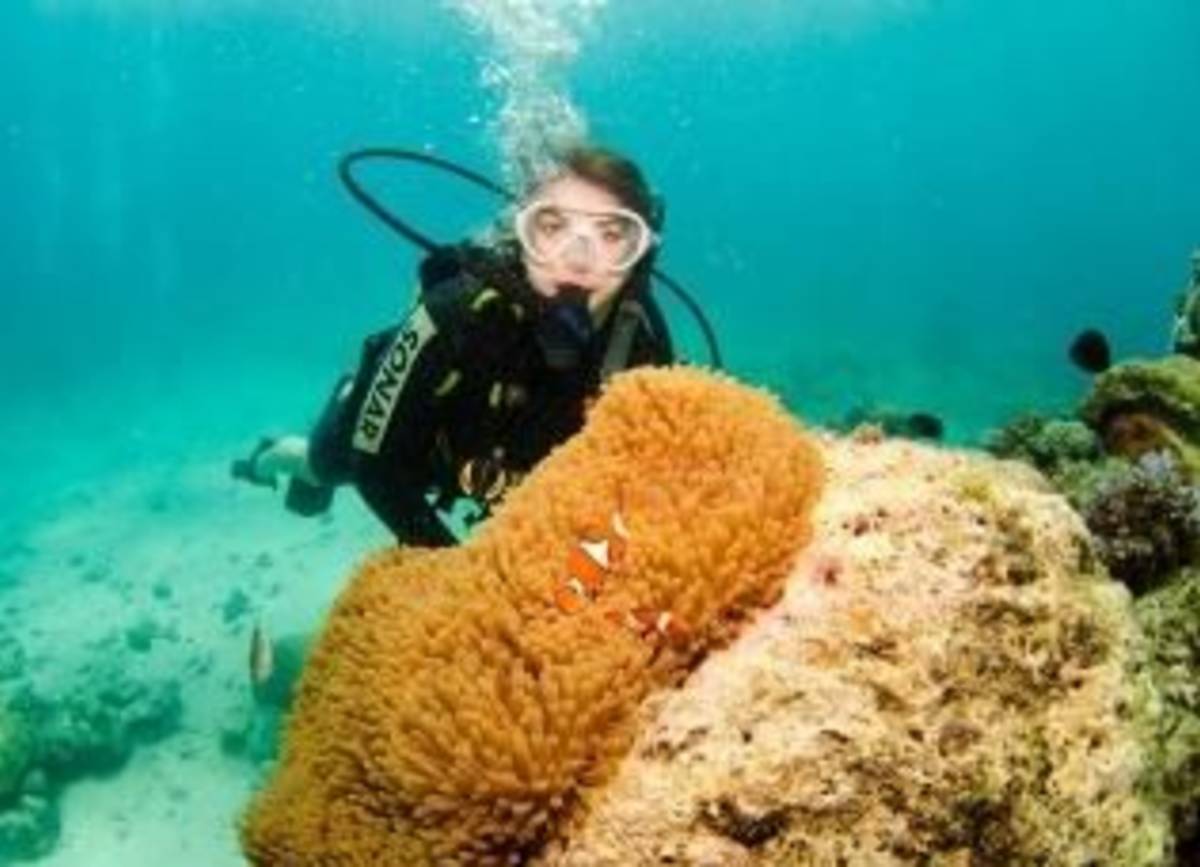 GoEco Australia - Great Barrier Reef Conservation