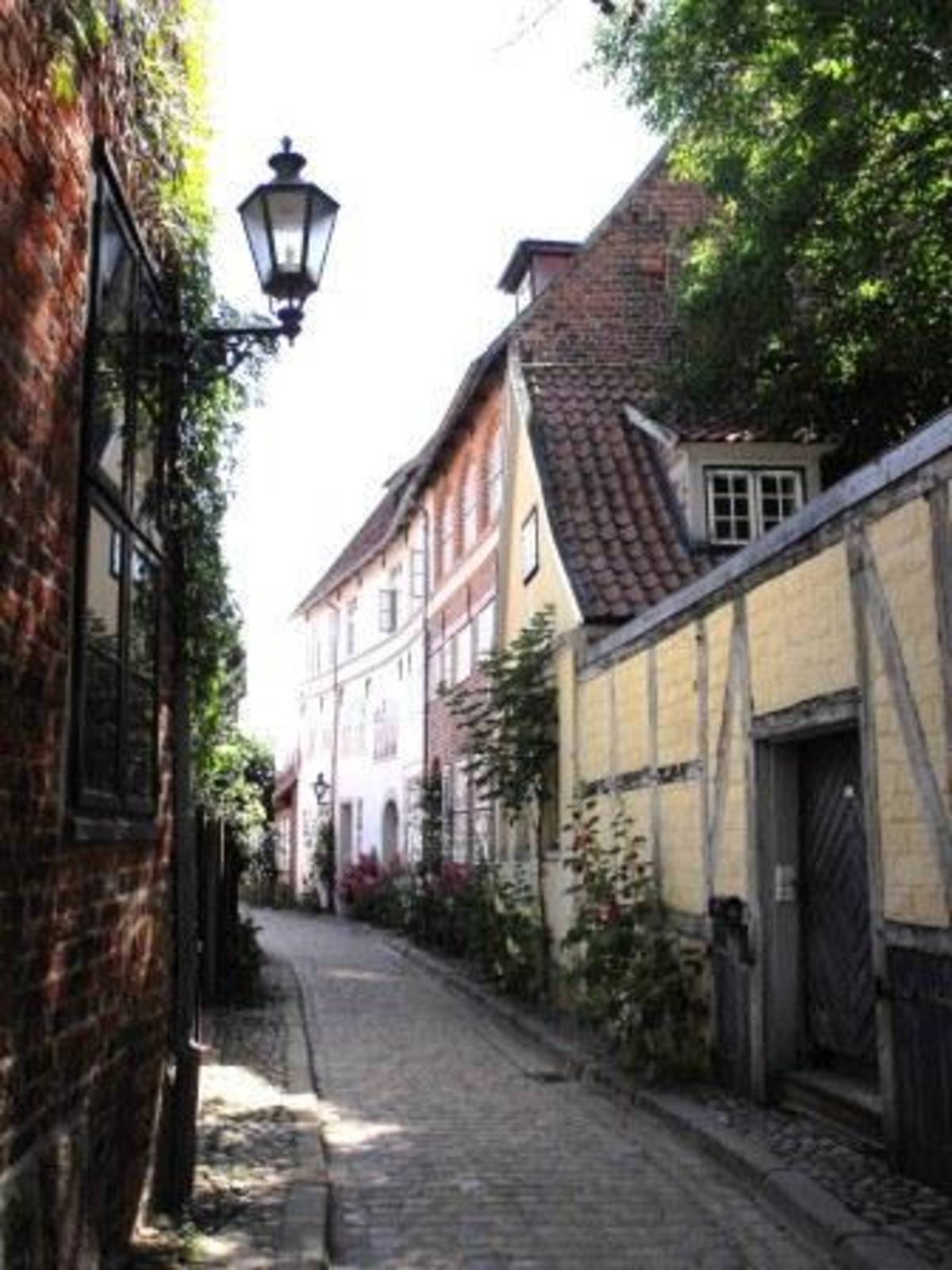 USAC Germany: Lüneburg - European Studies & Sustainability — photo 4