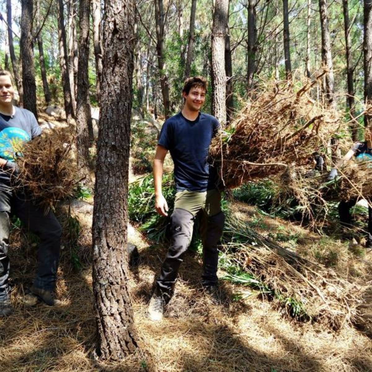 Forest Conservation