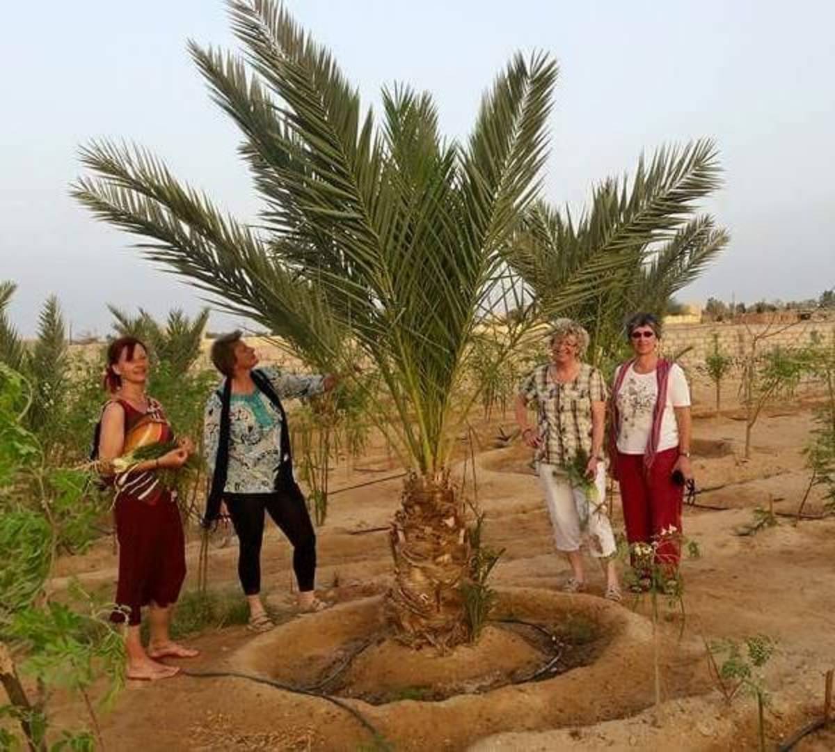 volunteers with a palm