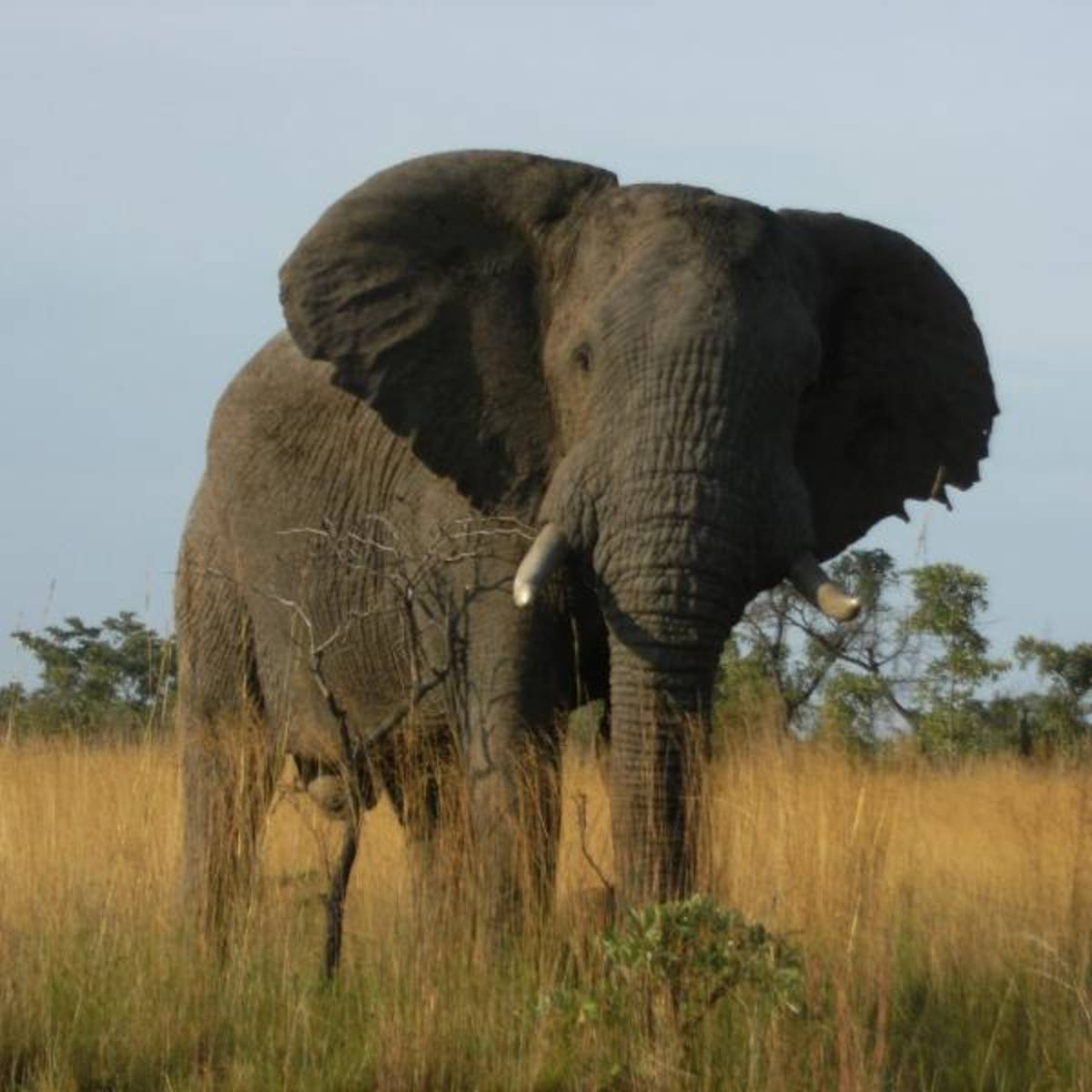Intern in South Africa with World Endeavors — photo 7