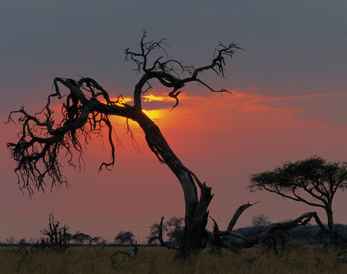 Study Abroad in Gaborone, Botswana