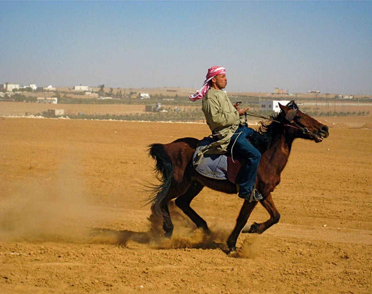 horseback riding in Amman, Jordan