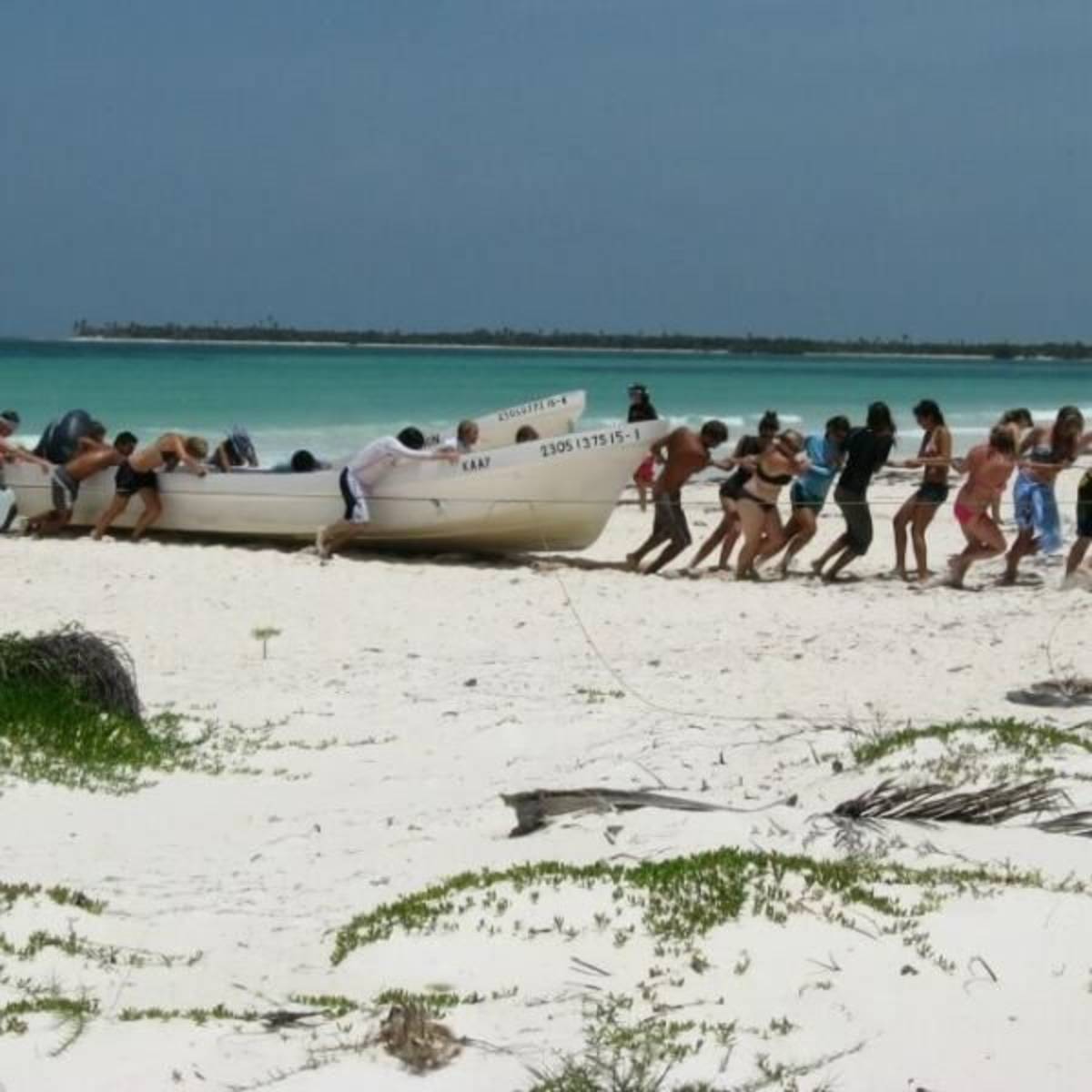 Volunteer in Marine Conservation