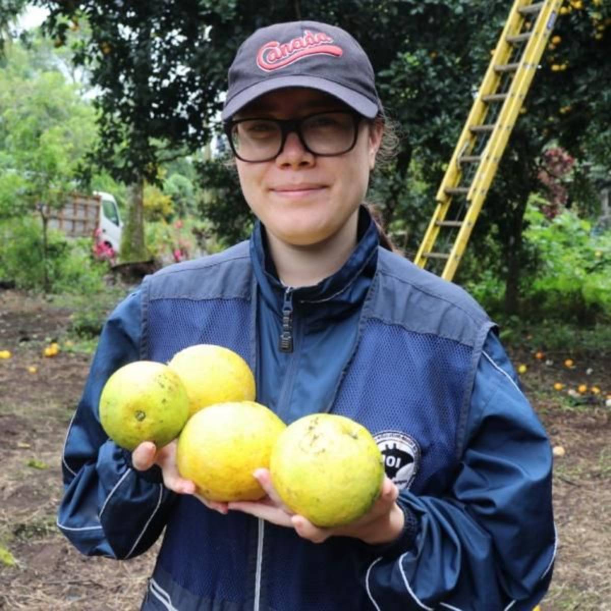 Sustainable Agriculture & Urban Farming