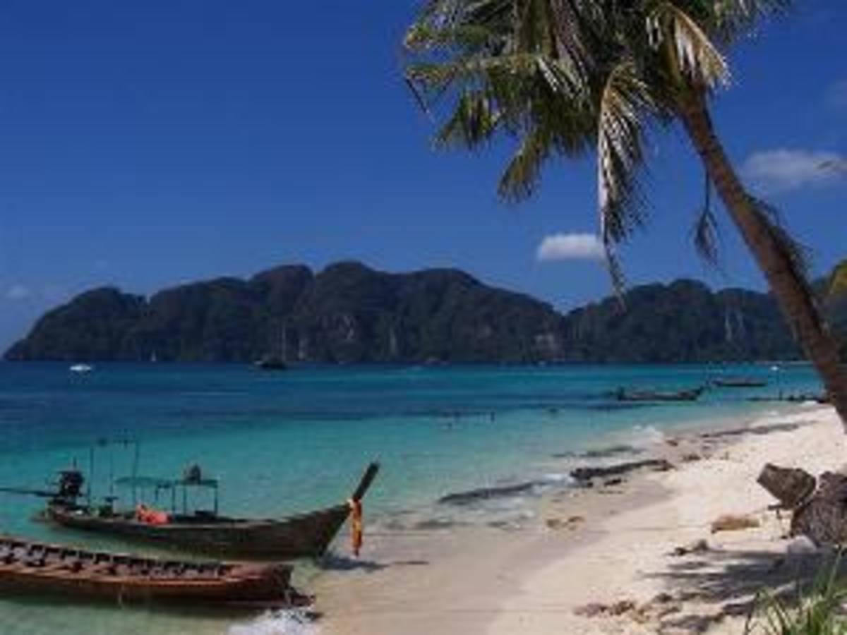 AFS Intercultural Programs: High School Abroad in Thailand — photo 5