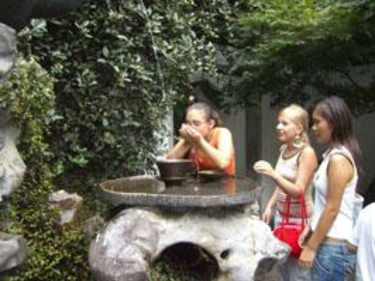 Summer Chinese Immersion Program on University Campus — photo 5