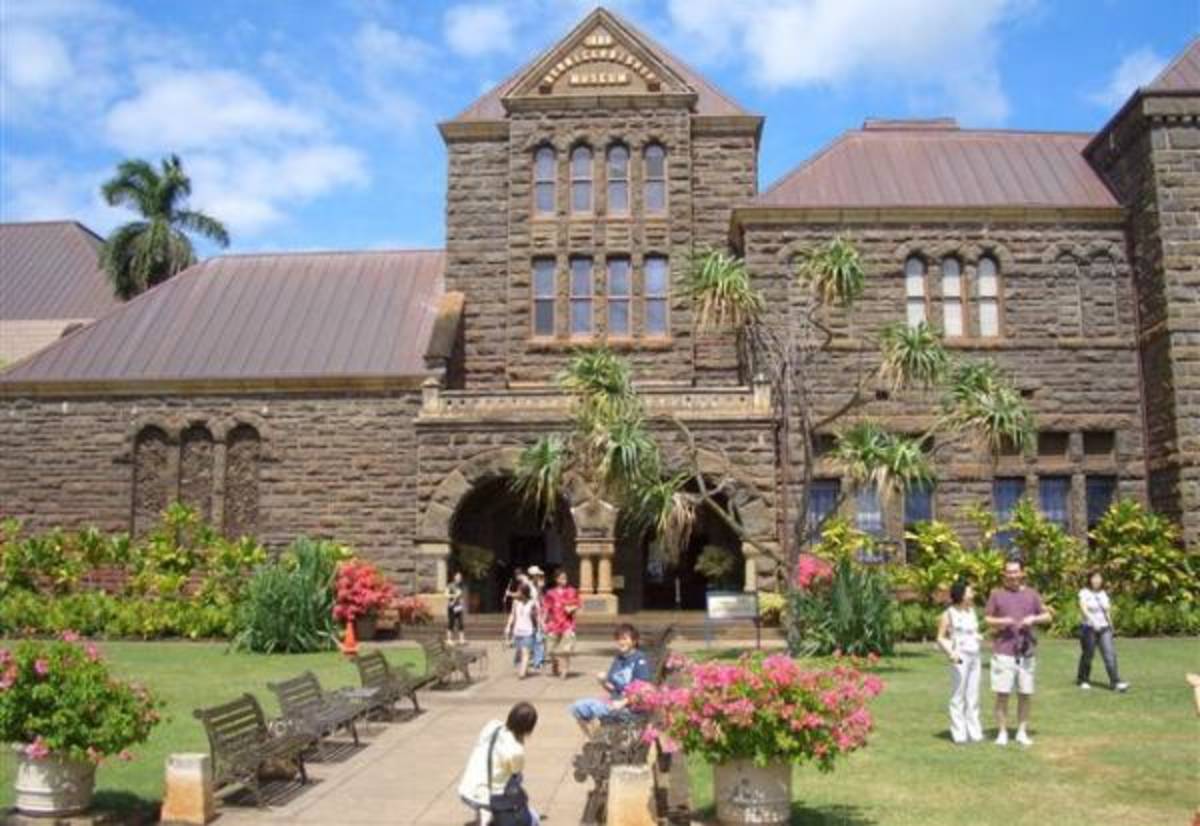 Museum & Historical Preservation Internship in New Zealand — photo 1
