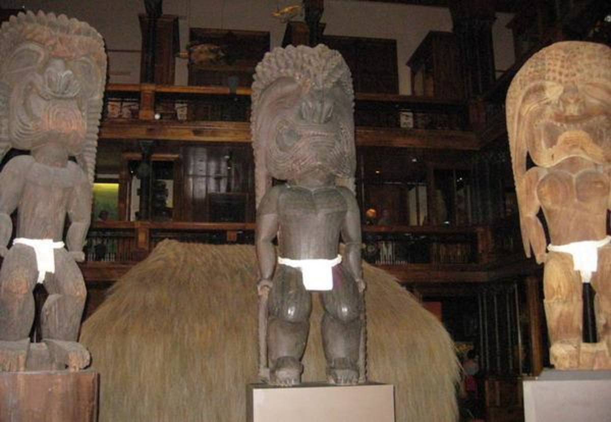Museum & Historical Preservation Internship in New Zealand — photo 3