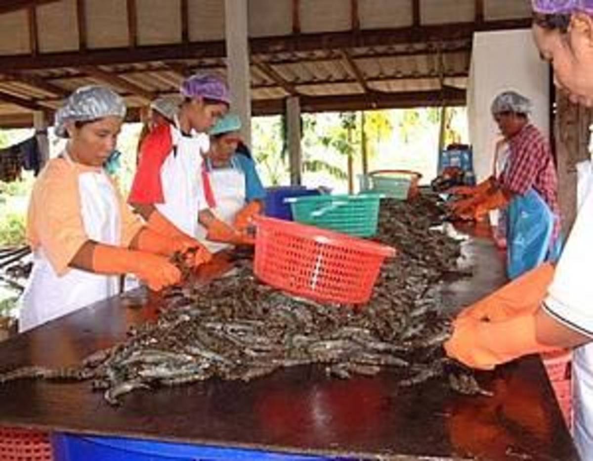 Environmental Industry (Aquaculture) Internships — photo 1
