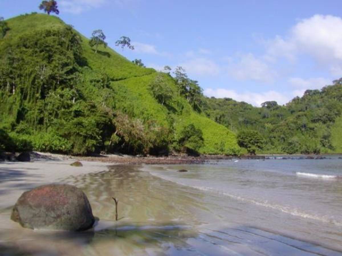 Costa Rica - Sea Turtle Conservation — photo 7
