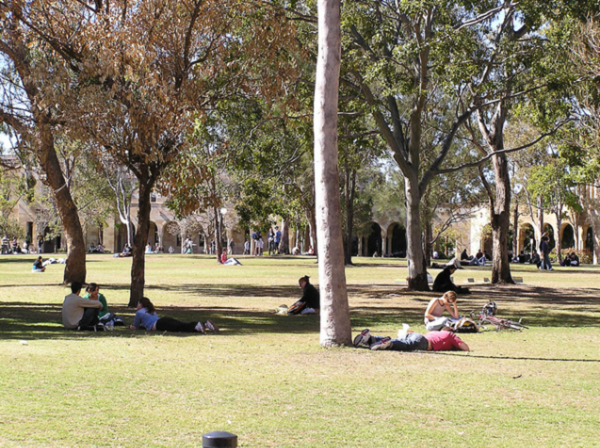 Arcadia Abroad - University of Queensland — photo 2