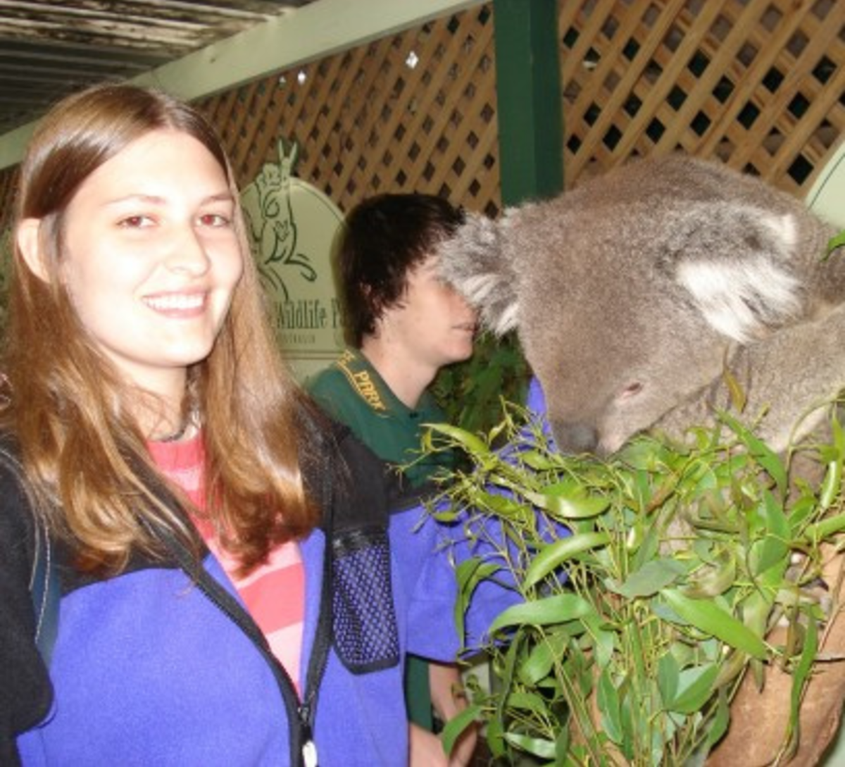 Arcadia Abroad - Sydney Summer Internship — photo 2