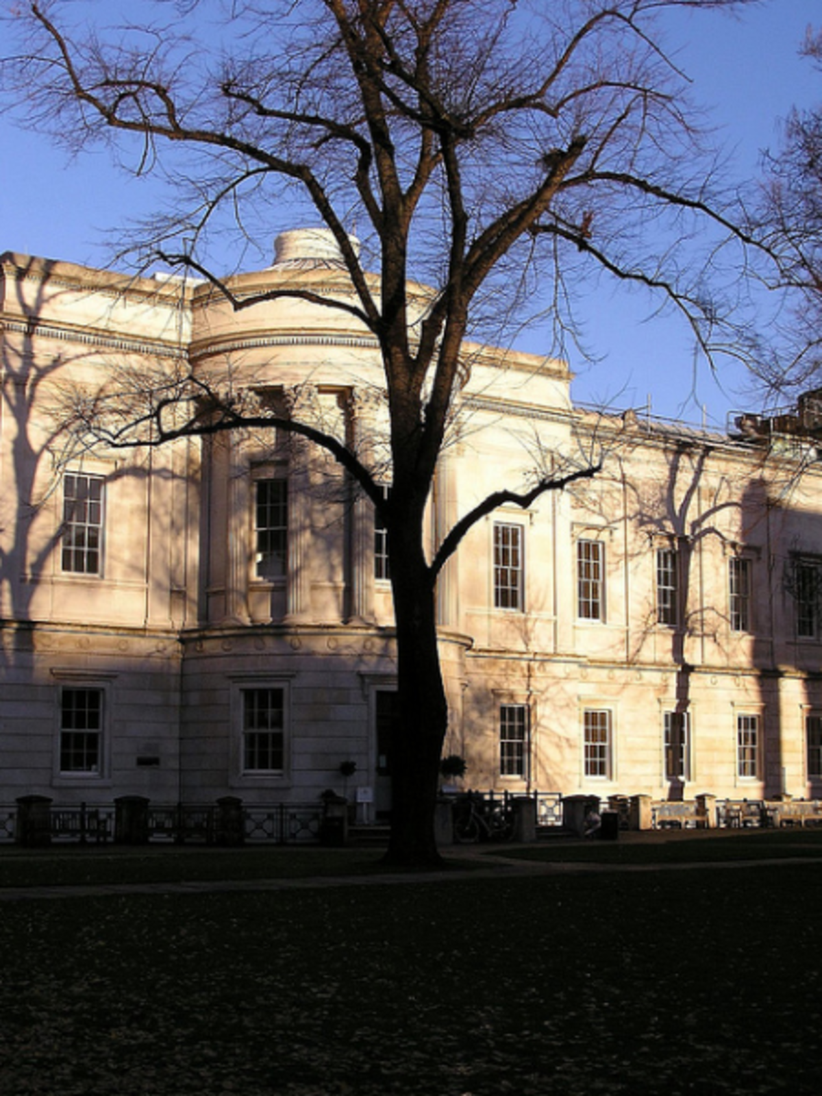 Arcadia Abroad - University College London — photo 2