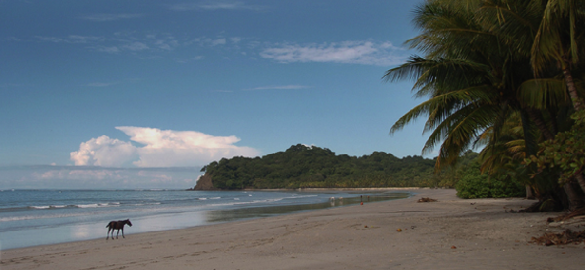Costa Rica School of Massage Therapy — photo 1