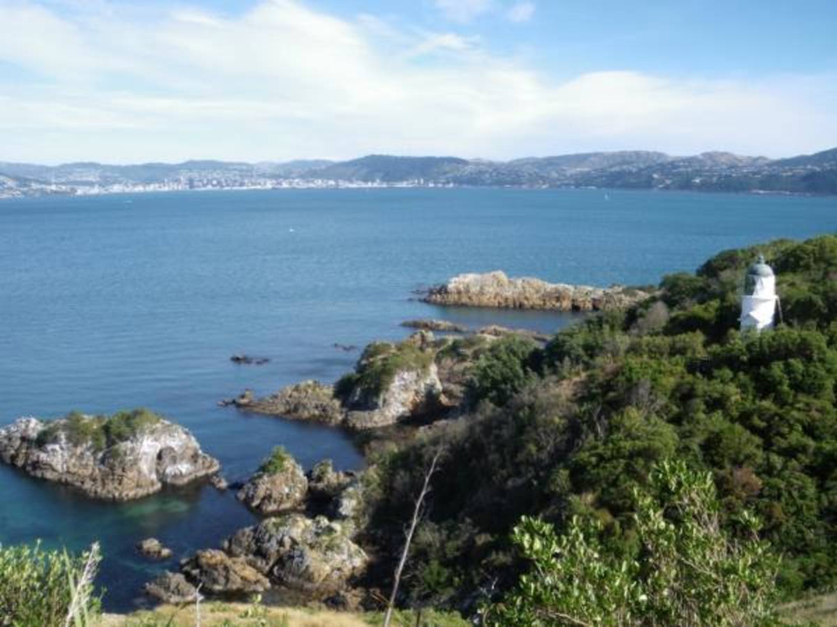 Botanical Garden Internship in New Zealand — photo 1