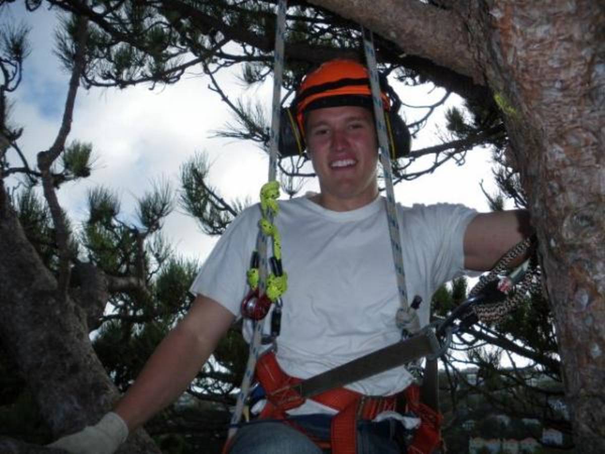 Botanical Garden Internship in New Zealand — photo 2