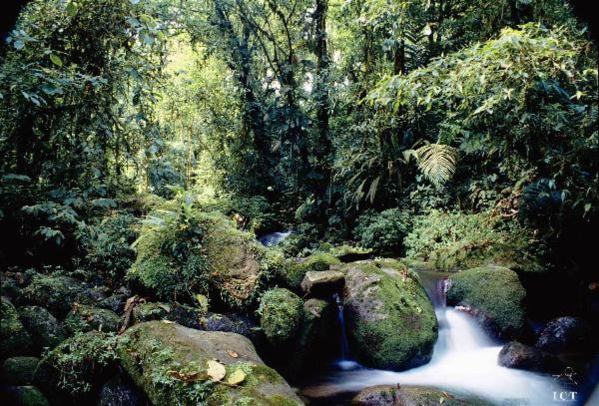 GLA Costa Rica - Volunteer Programs for Teens — photo 3