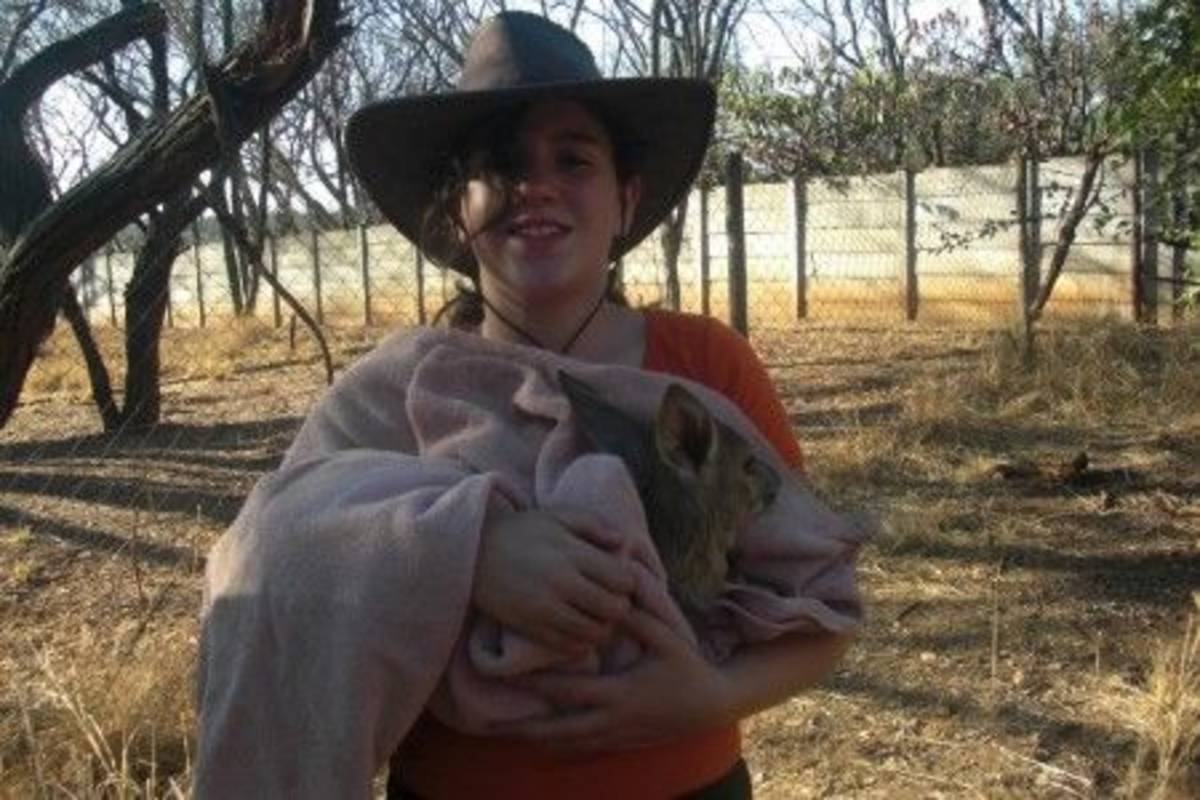 A boy holding an animal
