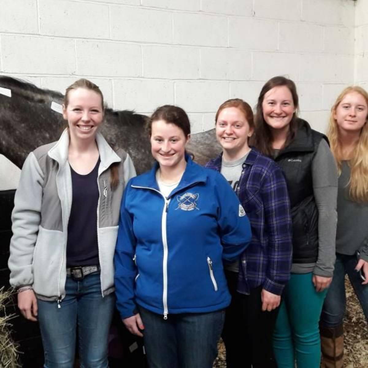 Equine Fitness Class - Study Abroad in Scotland - Adelante Abroad