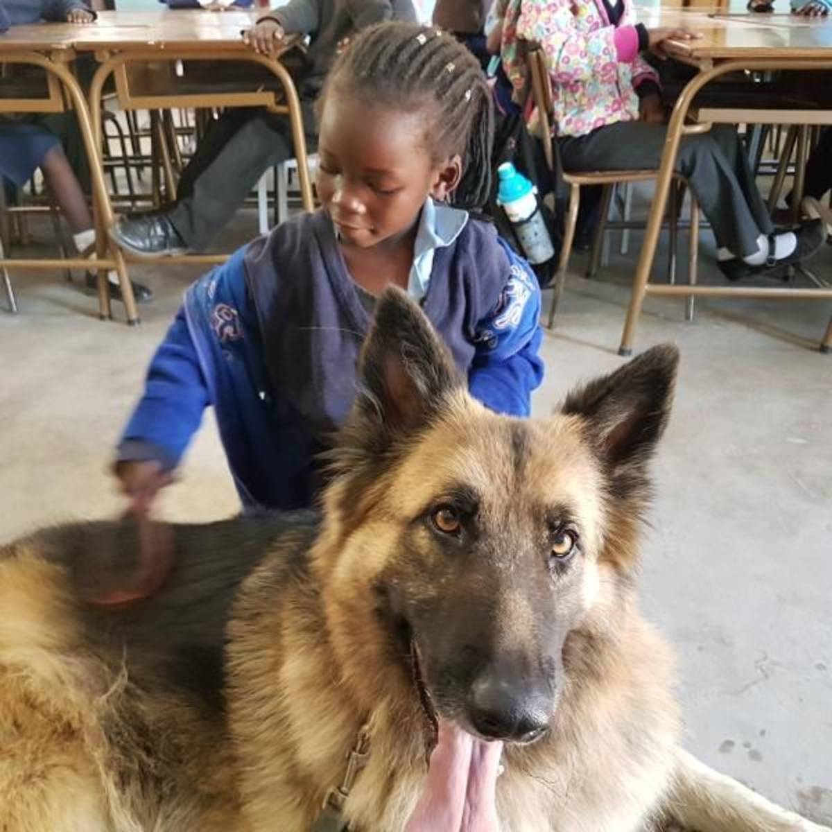 animal rescue Zambia