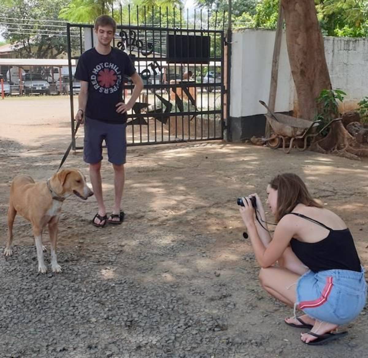 animal welfare internship