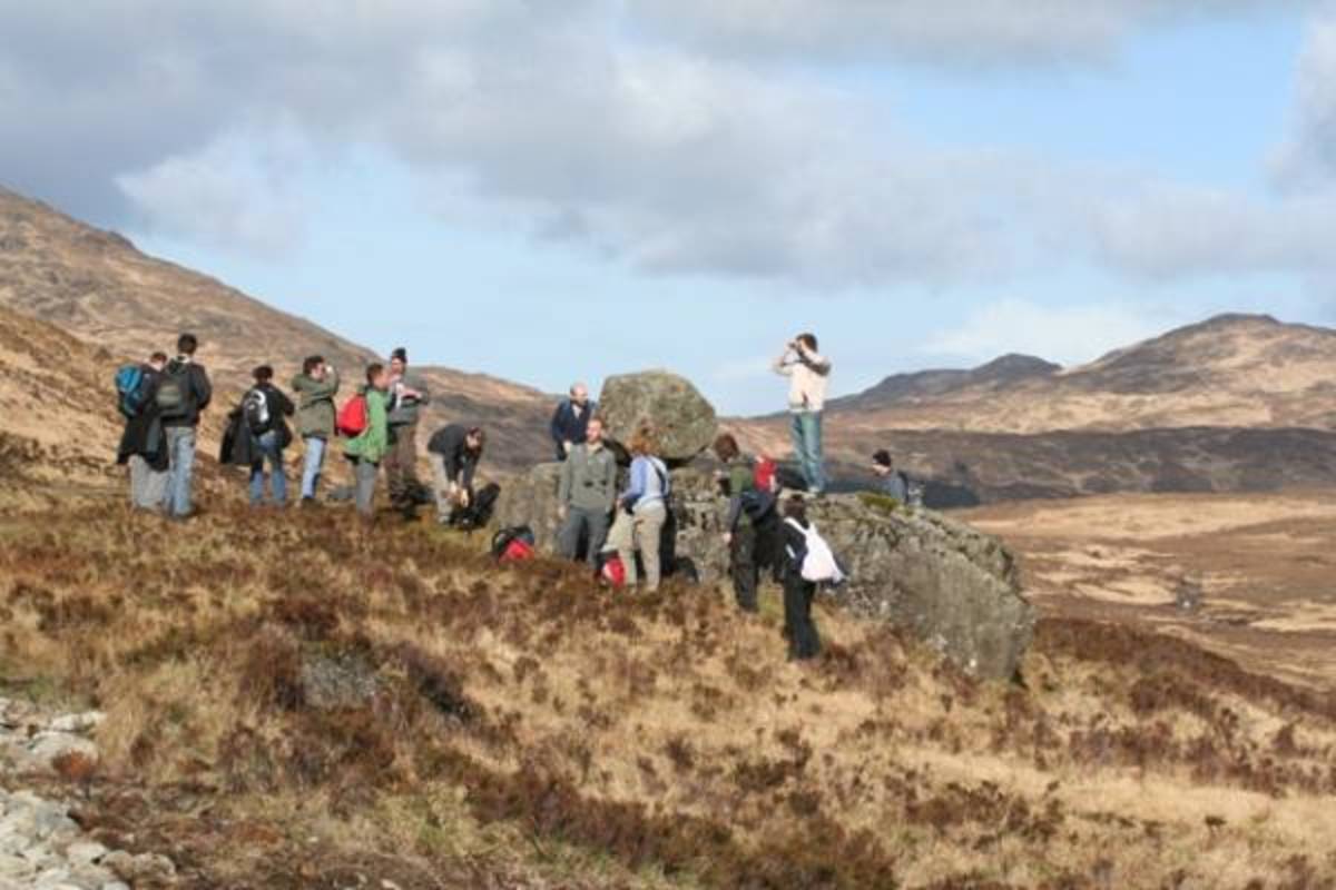 Ecology Conservation Program in Scotland - Adelante Abroad — photo 7
